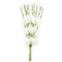 AussieSuperStore Art & Craft Essentials White Foam Tulip Flowers With Spray (in 2 colours) Foam Tulip Flowers With Spray (in 2 colours) | Artificial Flower Party Decoration 9331468058427 FCFL03